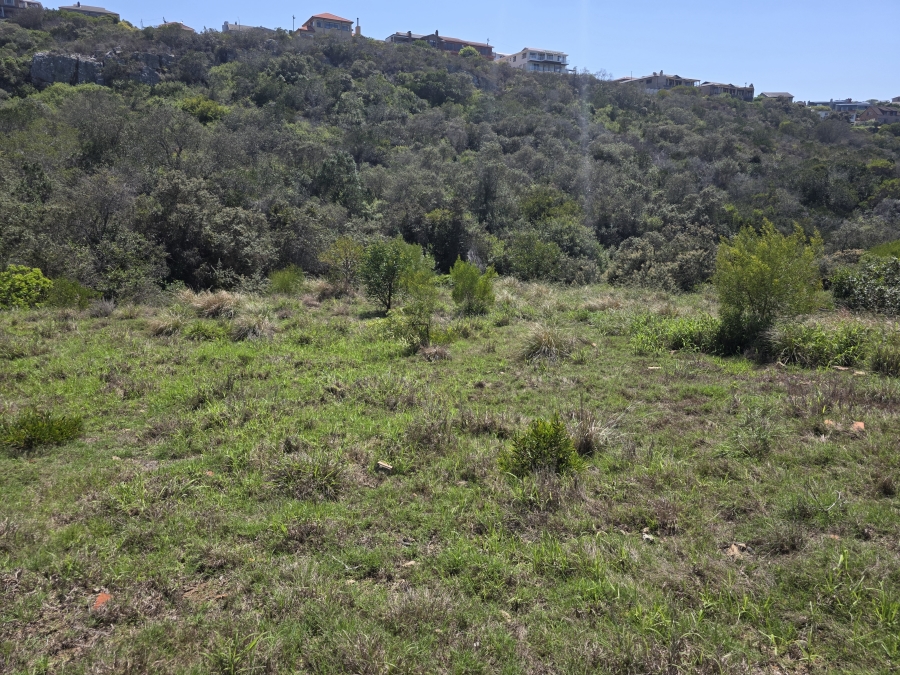 0 Bedroom Property for Sale in Dana Bay Western Cape